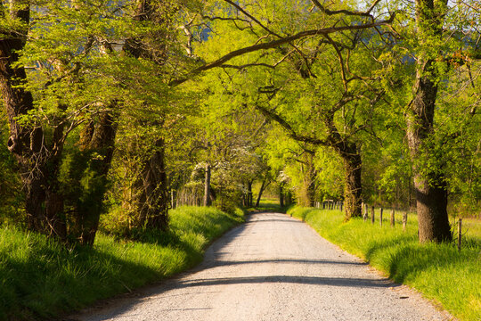 USA, Tennessee. Sparks Lane in the spring at Cades Cove.