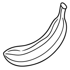 illustration of banana line art