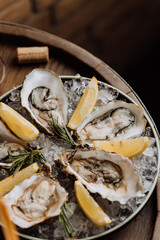 Fresh oysters on ice served with lemon wedges and rosemary, perfect for gourmet seafood lovers