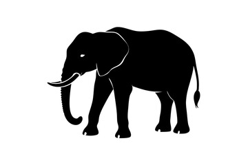 Fototapeta premium elephant vector illustration isolated on white background. PNG Transparent file type with high definition quality And vibrant color grading Available.