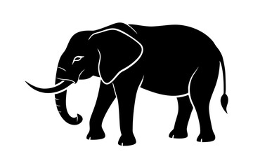 Fototapeta premium elephant vector illustration isolated on white background. PNG Transparent file type with high definition quality And vibrant color grading Available.