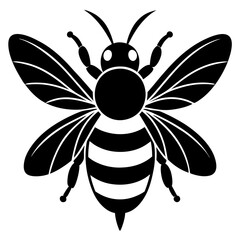 Fototapeta premium bee on white background