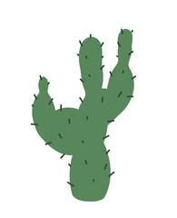 Сactus plant. Vector isolated illustration