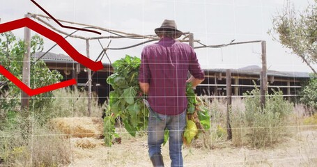 Red declining graph animation over farmer carrying vegetables in rural area