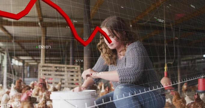 Red declining graph animation over woman feeding chickens in barn