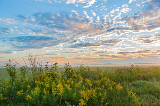 Sunrise and prairie, Prairie Ridge State Natural Area, Marion County, Illinois.