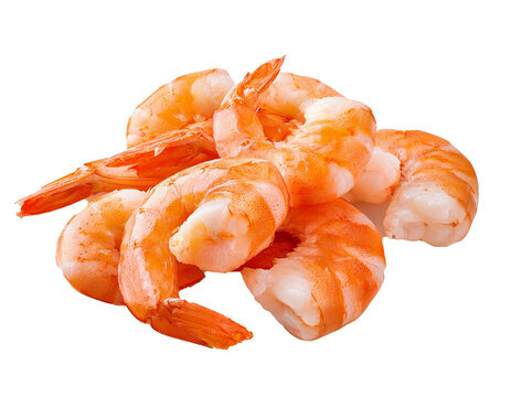 Shrimps, isoliert  Hintergrund, Freisteller, Transparent