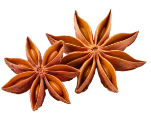 Sternanis, isoliert  Hintergrund, Freisteller 