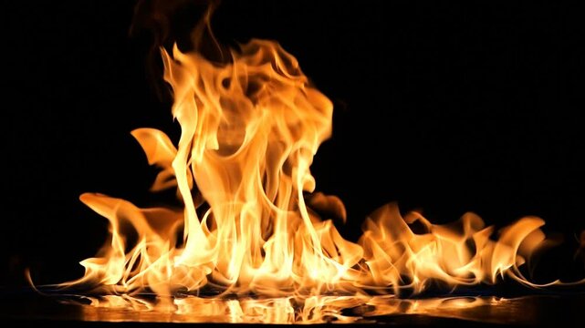 Fire Flames Igniting And Burning - Slow Motion. A line of real flames ignite on a black background. Real fire. Transparent background. PNG + Alpha