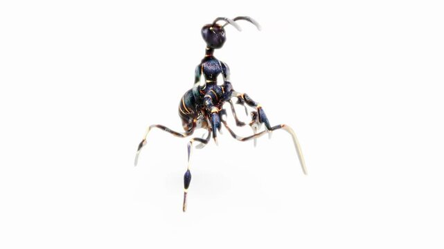 3D cyber mutant ant on white bg 
