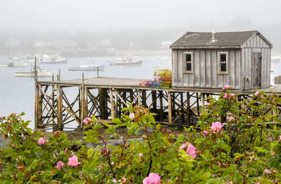 USA, Maine. Bernard fishing village, Mount Desert Island, Maine, USA.