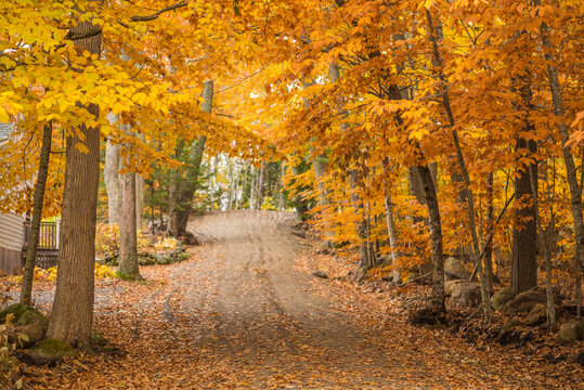 USA, Maine, Bayside. Bayview Cottages, oceanside community at a former religious themed resort during autumn.