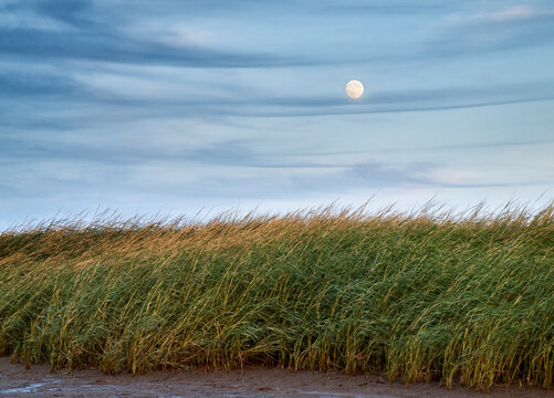 USA, Massachusetts, Cape Cod, Full moon rising at First Encounter Beach