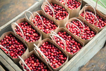 USA, Massachusetts, Wareham, cranberries (Large format sizes available)