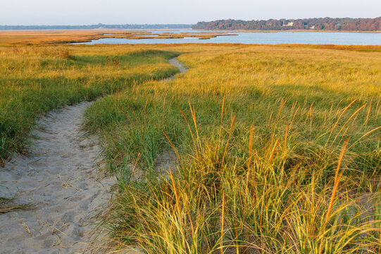 A sandy path through dune grass at Coast Guard Beach in the Cape Cod National Seashore. Eastham, Massachusetts.