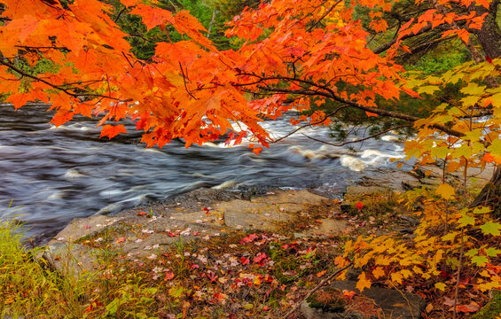 Sturgeon River in autumn near Alberta in the Upper Peninsula of Michigan, USA