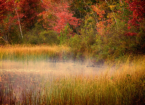 US, Michigan, Upper Peninsula. Thornton Lake.