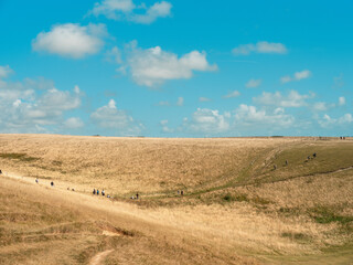 Fototapeta premium Peaceful Countryside Landscape with Rolling Hills and Blue Sky