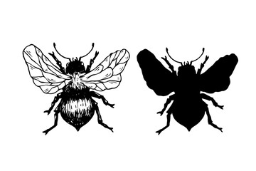 Set of sketches, doodles, silhouettes of winged insect honey bee. Vector graphics.