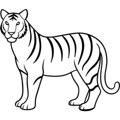 white tiger cartoon line art