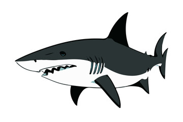 Obraz premium A shark on a transparent background. Vector illustration.