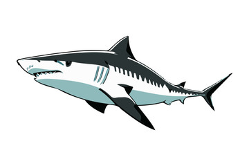 Obraz premium A shark on a transparent background. Vector illustration.