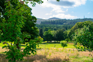 Grassy fields and Mourne Mountains in background, Newcastle Northern Irleland. 