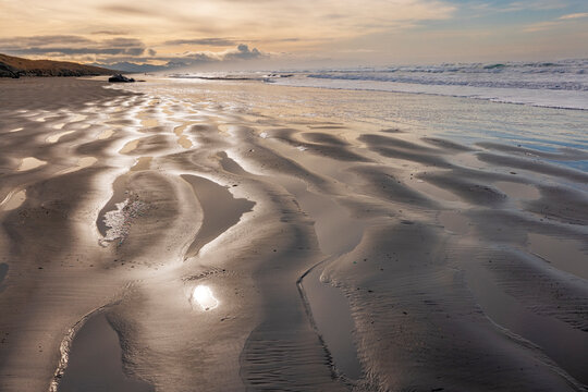 Pacific Ocean beach with beached sperm whale at Fort Stevens State Park, Oregon, USA.