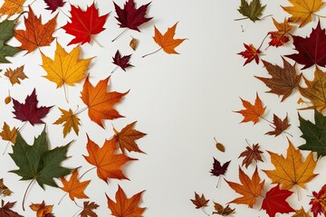 Vibrant Autumn Leaves and Branches on a White Background Inspiring Decorative Art