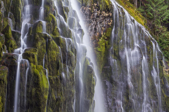 USA, Oregon, Three Sisters Wilderness Area. Lower Proxy Falls.