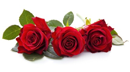 Fototapeta premium Three Red Roses