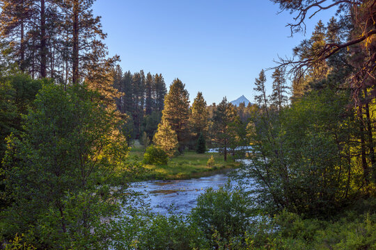USA, Oregon, Deschutes National Forest, Headwaters of the Metolius River and distant Mount Jefferson at sunset. The Metolius River is a federally designated Wild and Scenic River.