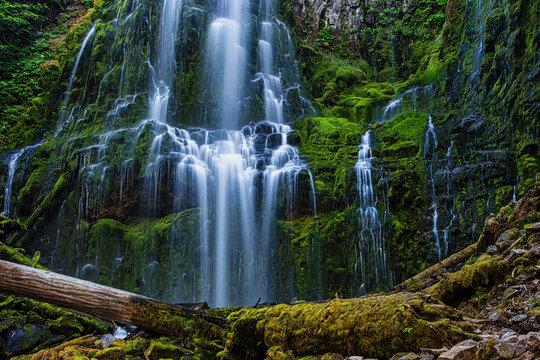 Proxy Falls in Oregon.