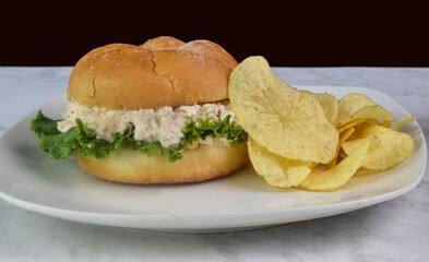 chicken salad  sandwich  and a side of chips
