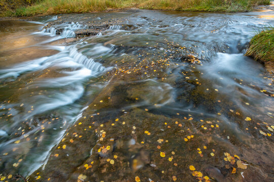 USA, Utah, Grand Staircase Escalante National Monument. Autumn leaves in Calf Creek waterfalls.