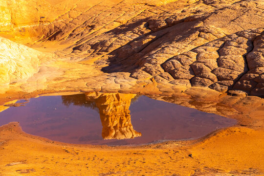 USA, Utah, Grand Staircase Escalante National Monument. Pothole filled with water after rain.