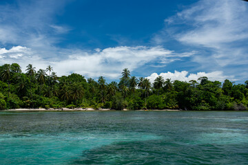 Stunning Tropical Island in Bocas del Toro, Panama with Crystal Clear Caribbean Waters, Lush Green Forest, and Vibrant Coastal Scenery, A Paradise for Nature Lovers and Eco-Tourism Enthusiasts