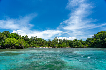 Stunning Tropical Island in Bocas del Toro, Panama with Crystal Clear Caribbean Waters, Lush Green Forest, and Vibrant Coastal Scenery, A Paradise for Nature Lovers and Eco-Tourism Enthusiasts