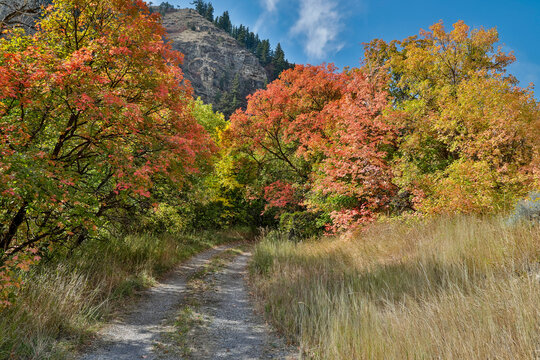 USA, Utah, Highway 89 Logan area in autumn colors with the canyon maple and gravel track