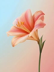 Obraz premium A beautifully illustrated flower with soft pastel colors, showcasing its delicate petals.