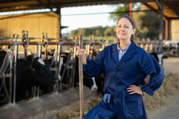 Portrait of cheerful woman working on farm breeding Holstein dairy cows posing in cowshed..