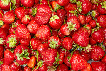 background of scattered ripe red strawberries with green stems
