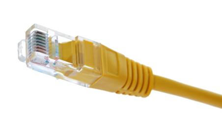 Close up yellow cable, LAN or Ethernet connectors isolated on white, clipping