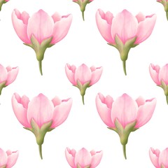 Naklejka premium Watercolor seamless pattern with Sakura illustration. Flower digital paper isolated on white background.Digital paper,wallpaper,scrapbook.