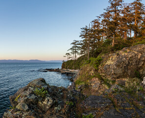 British Columbia shoreline in summer