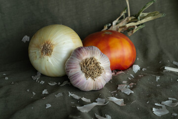 Still life of onion, tomato and garlic on olivwe green background.