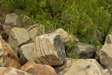 Rocks with sediment lines lying in a pile