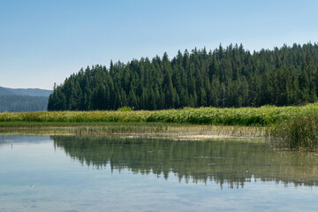 A view of trees across Paulina Lake on the Newberry National Volcanic Monument in Oregon.