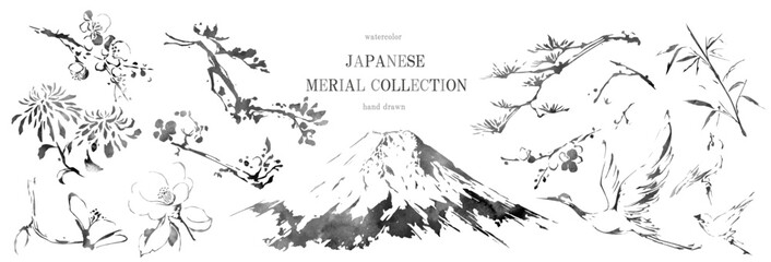 年賀状, 正月, 筆書き, 和, ベクター, 鶴, 富士山, セット, 花, 挿絵, 背景, フレーム, 梅の花, 桜, 椿, 菊, 水墨, 松, 梅, イラスト