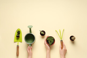 Female hands with rake, watering can, shovel and plants on beige background. Top view